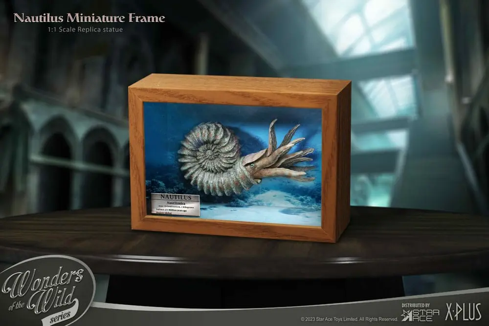 Wonders of the Wild Series Statue 1/1 Nautilus Miniature Frame 15 cm Produktfoto