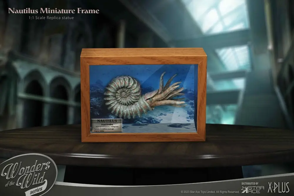 Wonders of the Wild Series Statue 1/1 Nautilus Miniature Frame 15 cm Produktfoto