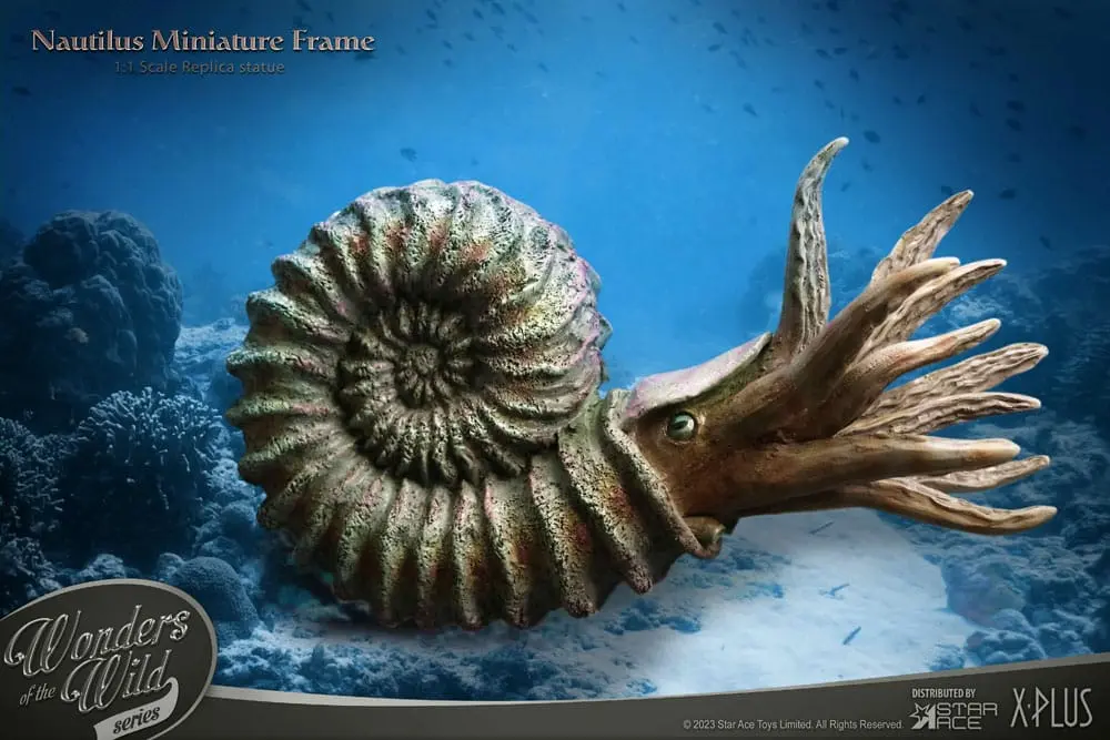 Wonders of the Wild Series Statue 1/1 Nautilus Miniature Frame 15 cm Produktfoto