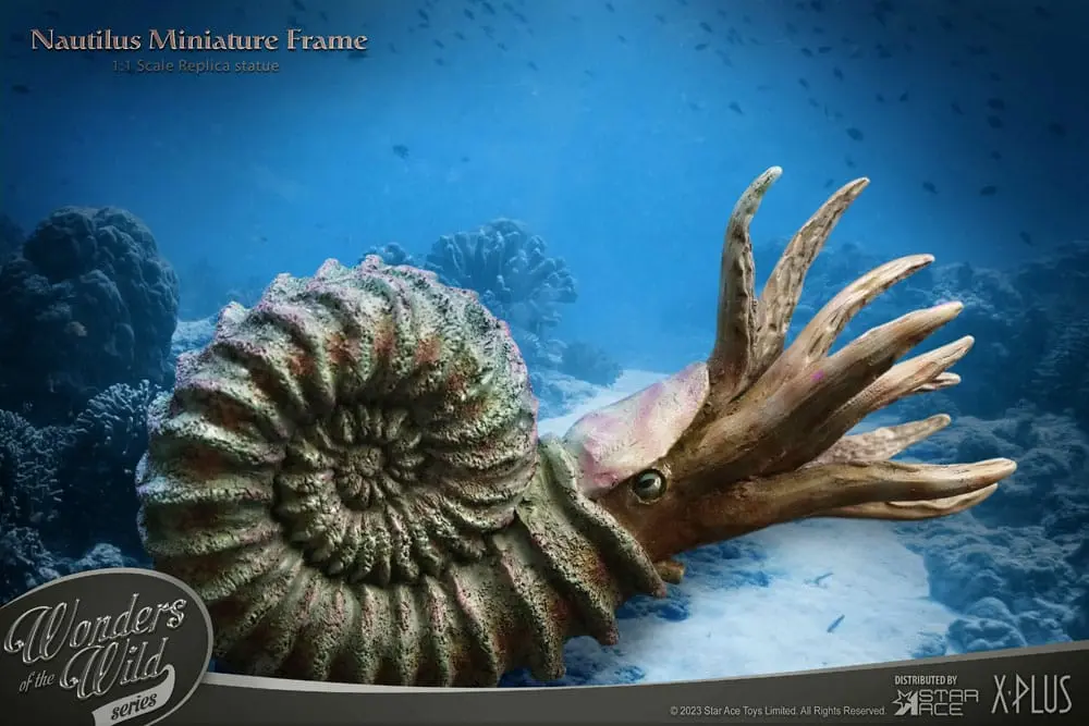 Wonders of the Wild Series Statue 1/1 Nautilus Miniature Frame 15 cm Produktfoto