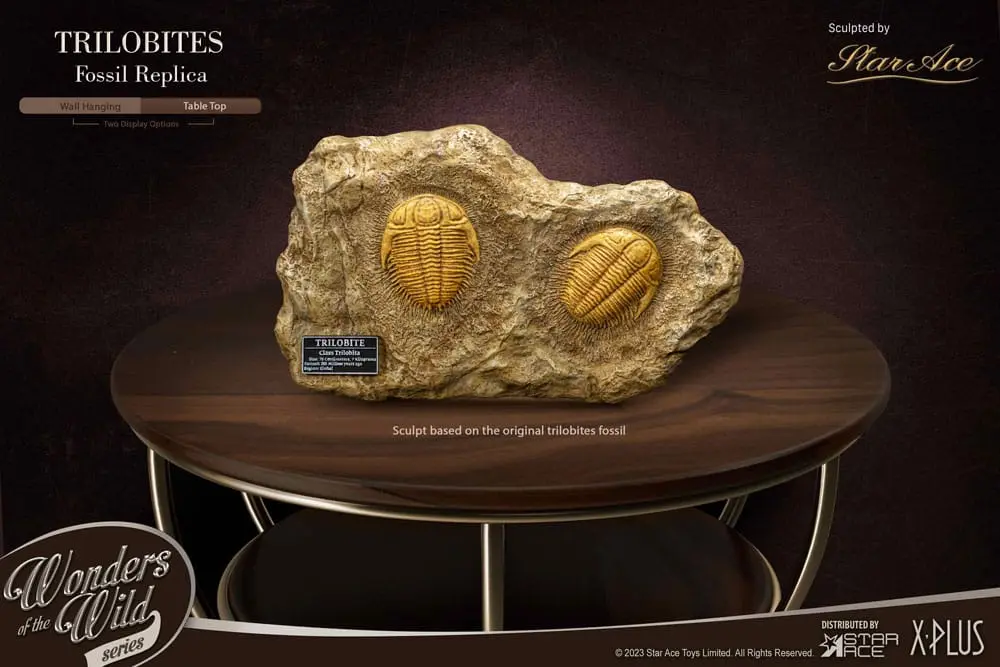 Wonders of the Wild Series Statue 1/1 Trilobites Miniature Frame & Fossil 15 cm Produktfoto
