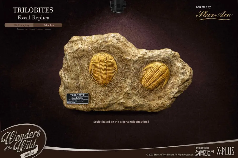 Wonders of the Wild Series Statue 1/1 Trilobites Miniature Frame & Fossil 15 cm Produktfoto