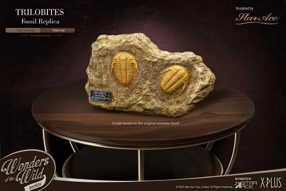 Wonders of the Wild Series Statue 1/1 Trilobites Miniature Frame & Fossil 15 cm Produktfoto