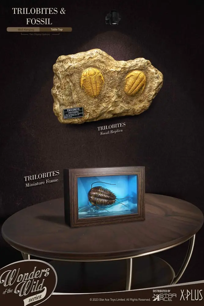 Wonders of the Wild Series Statue 1/1 Trilobites Miniature Frame & Fossil 15 cm Produktfoto