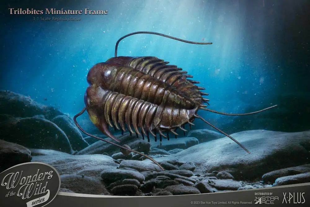 Wonders of the Wild Series Statue 1/1 Trilobites Miniature Frame 15 cm Produktfoto
