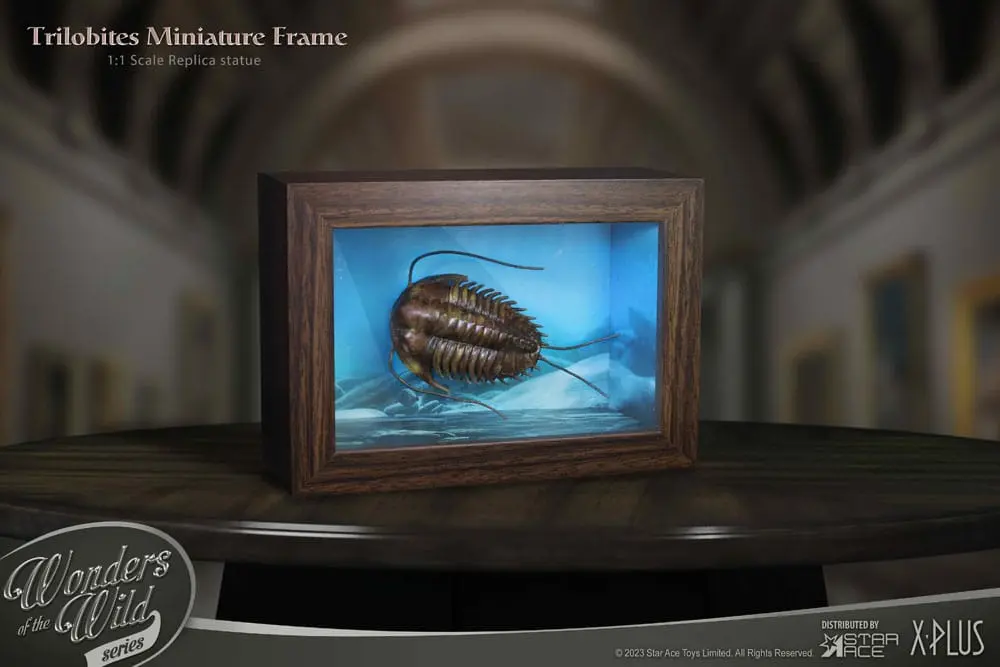 Wonders of the Wild Series Statue 1/1 Trilobites Miniature Frame 15 cm Produktfoto