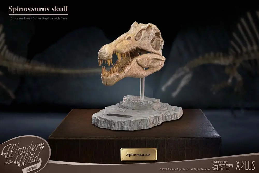 Wonders of the Wild Series Statue Spinosaurus Head Skull 30 cm Produktfoto