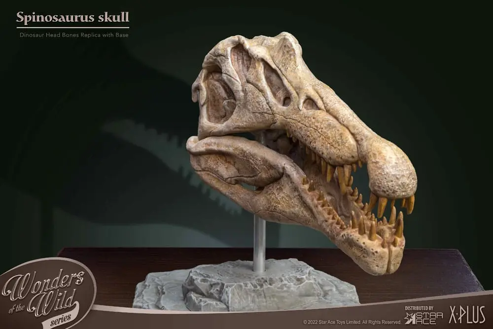 Wonders of the Wild Series Statue Spinosaurus Head Skull 30 cm Produktfoto