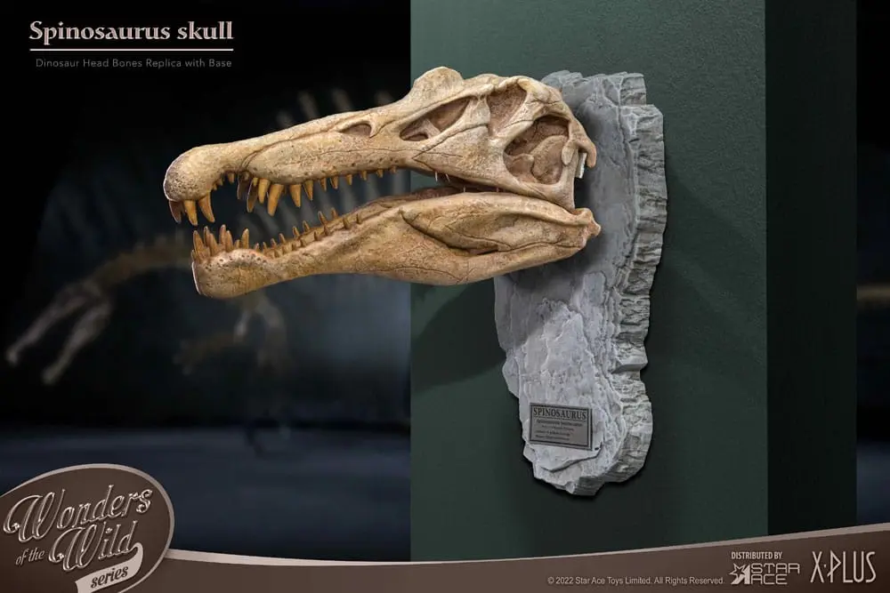Wonders of the Wild Series Statue Spinosaurus Head Skull 30 cm Produktfoto