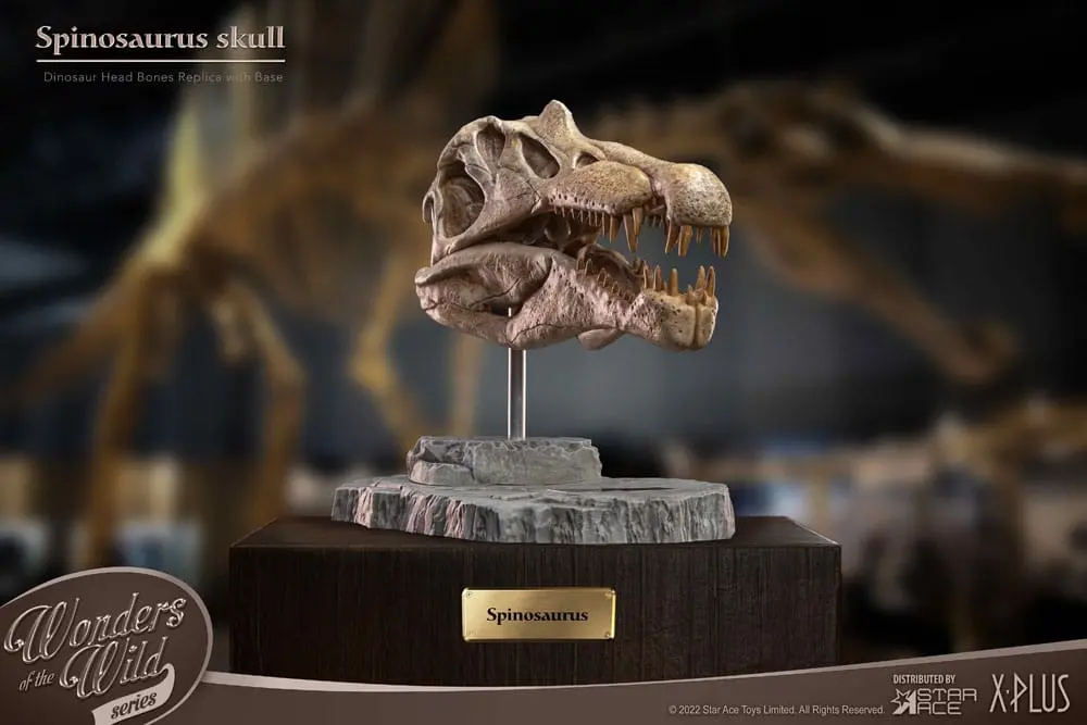 Wonders of the Wild Series Statue Spinosaurus Head Skull 30 cm Produktfoto