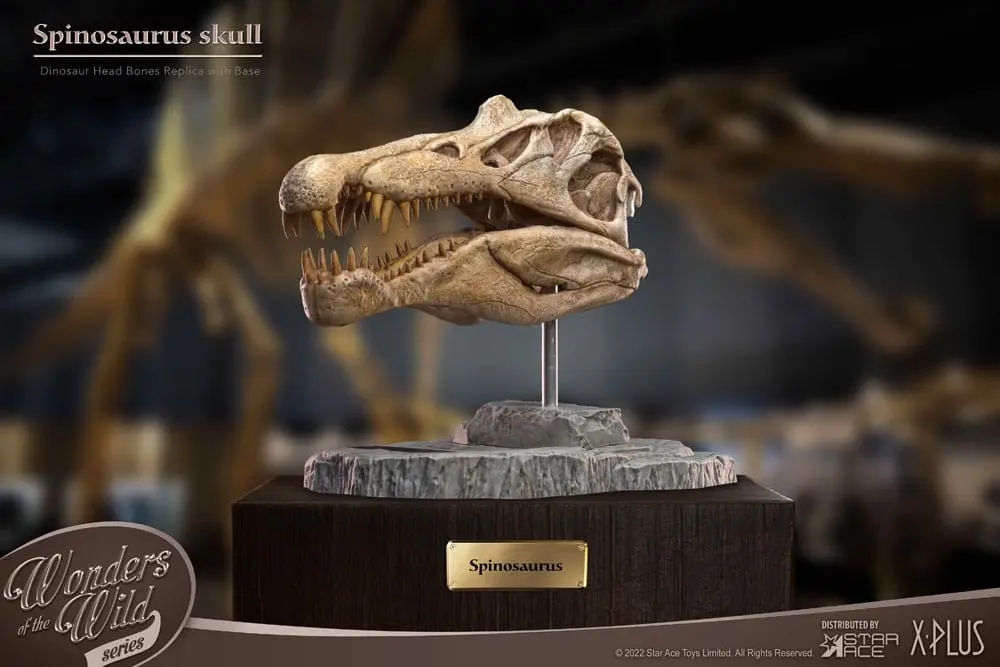 Wonders of the Wild Series Statue Spinosaurus Head Skull 30 cm Produktfoto