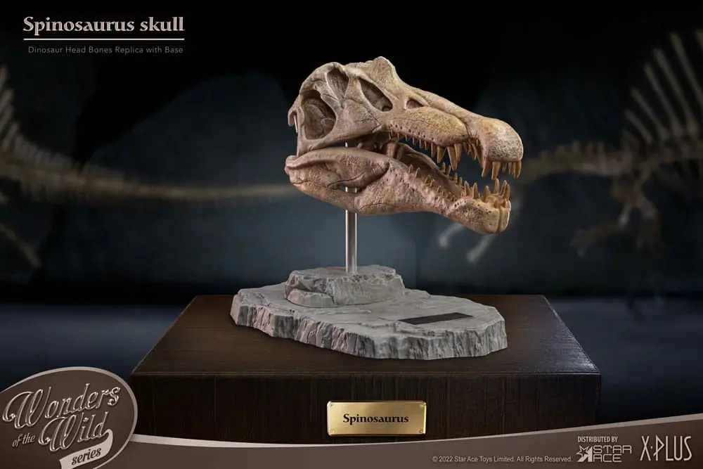 Wonders of the Wild Series Statue Spinosaurus Head Skull 30 cm Produktfoto
