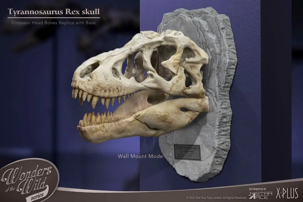 Wonders of the Wild Series Statue T-Rex Head Skull 30 cm Produktfoto