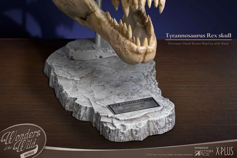 Wonders of the Wild Series Statue T-Rex Head Skull 30 cm Produktfoto