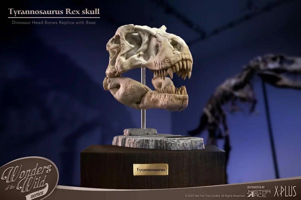 Wonders of the Wild Series Statue T-Rex Head Skull 30 cm Produktfoto