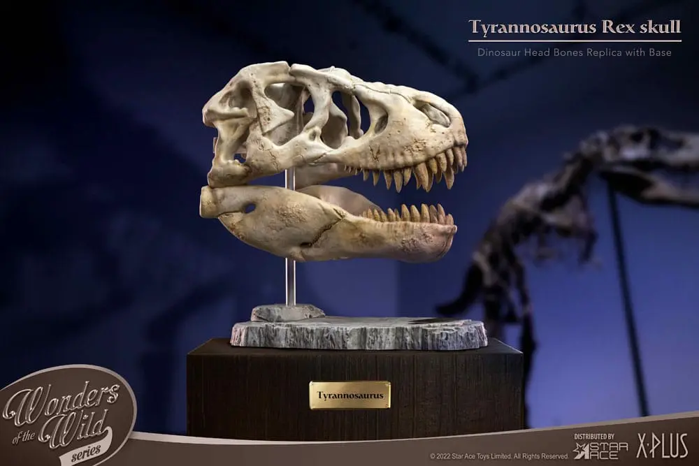 Wonders of the Wild Series Statue T-Rex Head Skull 30 cm Produktfoto