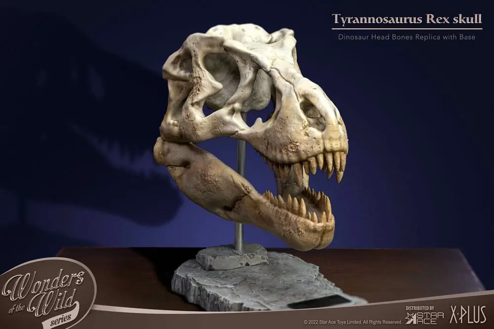Wonders of the Wild Series Statue T-Rex Head Skull 30 cm Produktfoto