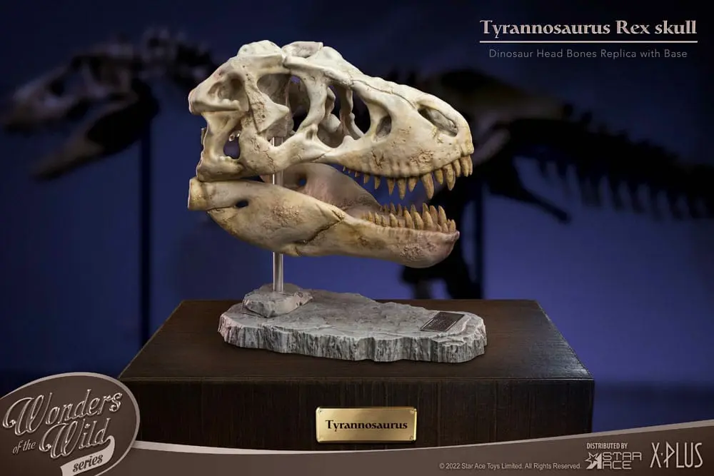 Wonders of the Wild Series Statue T-Rex Head Skull 30 cm Produktfoto