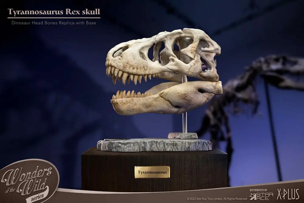 Wonders of the Wild Series Statue T-Rex Head Skull 30 cm Produktfoto