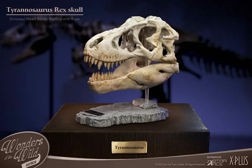 Wonders of the Wild Series Statue T-Rex Head Skull 30 cm Produktfoto