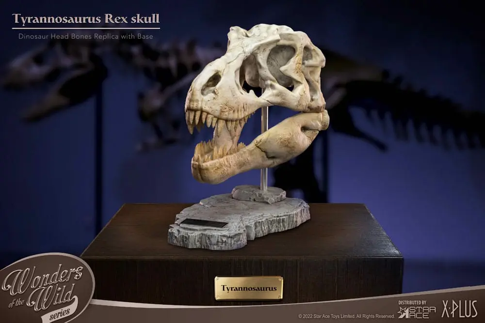 Wonders of the Wild Series Statue T-Rex Head Skull 30 cm Produktfoto