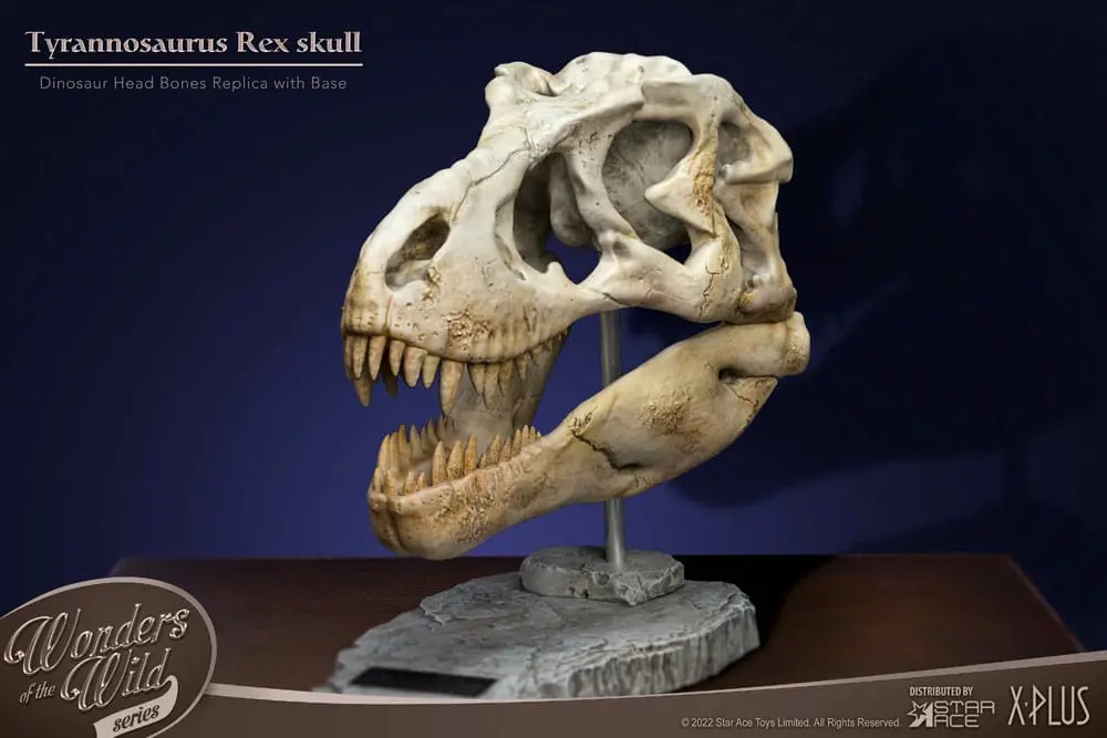 Wonders of the Wild Series Statue T-Rex Head Skull 30 cm Produktfoto
