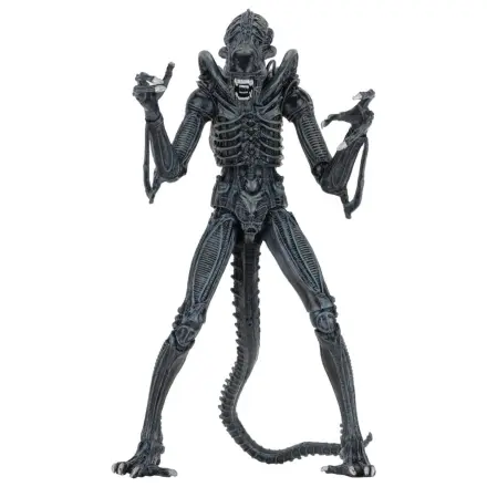 Aliens Ultimate Actionfigur Warrior (1986) Blue 23 cm Produktfoto