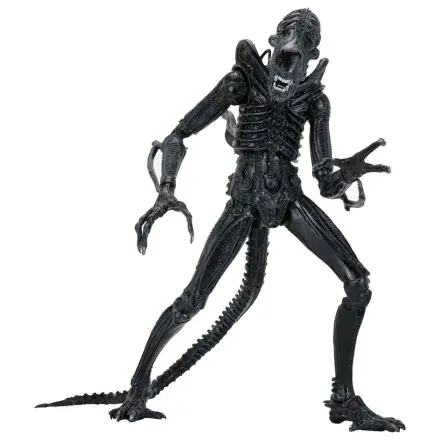 Aliens Ultimate Actionfigur Warrior (1986) Xenomorph Black (40th Anniversary) 23 cm Produktfoto