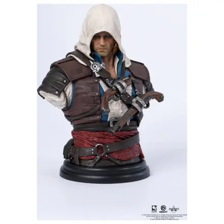 Assassin´s Creed Büste 1/4 Edward Produktfoto