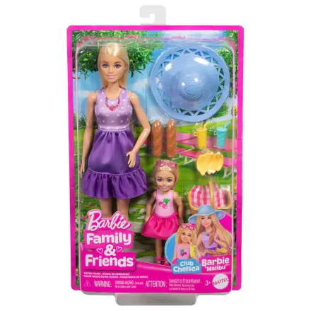 Barbie Family & Friends 2er-Pack Puppen Produktfoto