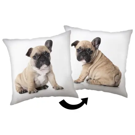 Bulldog Kissen Produktfoto