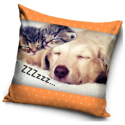 Cat and Dog ZZZ Kissenbezug Produktfoto
