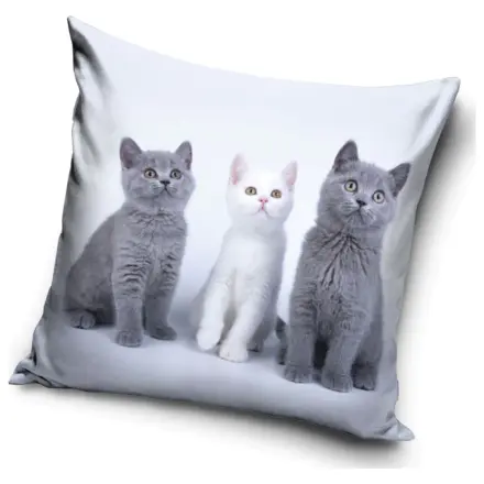 Cat Trio Kissenbezug Produktfoto