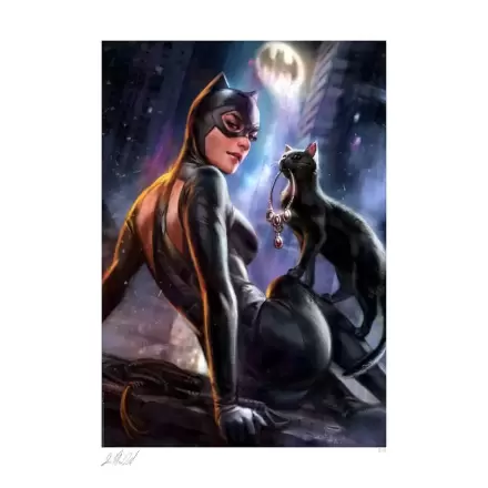 DC Comics Kunstdruck Catwoman: Girl's Best Friend 41 x 61 cm - ungerahmt termékfotója