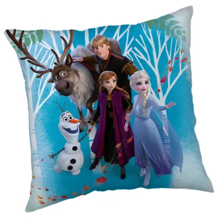 Disney Frozen Family Kissenbezug Produktfoto