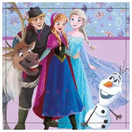 Disney Frozen Friends Forever Hand- und Gesichtshandtuch, Handtuch 30x30cm Produktfoto