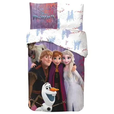 Disney Frozen Magic Team Bettdeckenbezug Produktfoto
