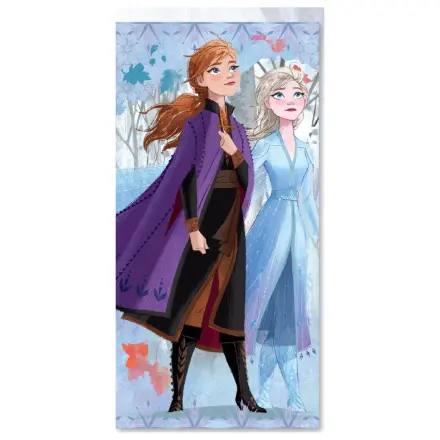 Disney Frozen Sisters Handtuch Produktfoto
