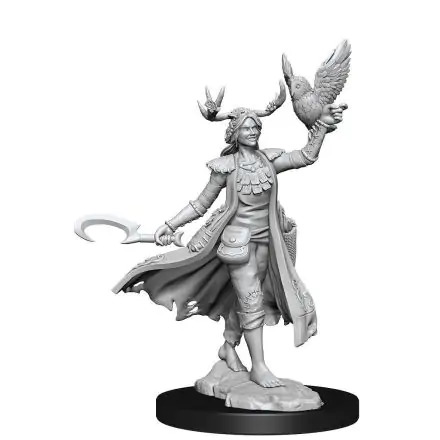 Dungeons & Dragons Frameworks Miniatur-Bausatz Human Druid Female Produktfoto