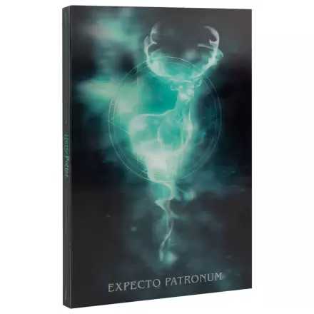 Harry Potter DIN A5 Linsenförmiges Notizbuch Produktfoto