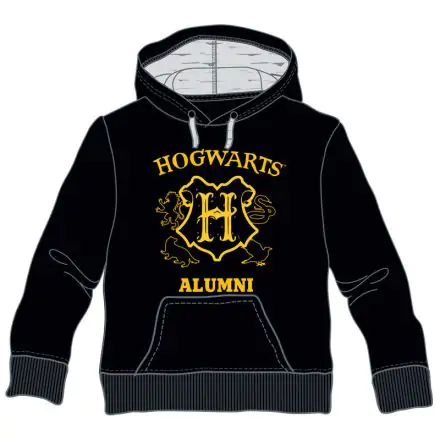 Harry Potter Hogwarts Alumni Pullover termékfotója