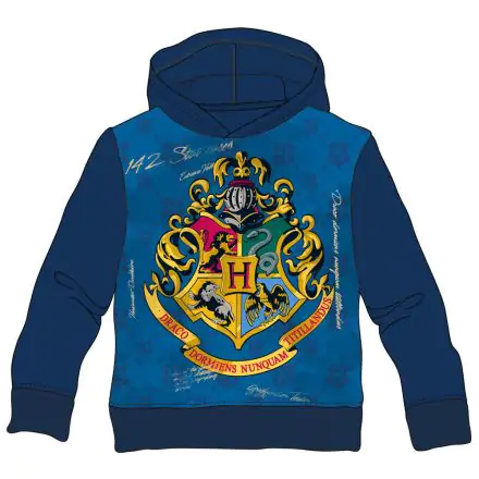 Harry Potter Hogwarts Kinder Pullover termékfotója