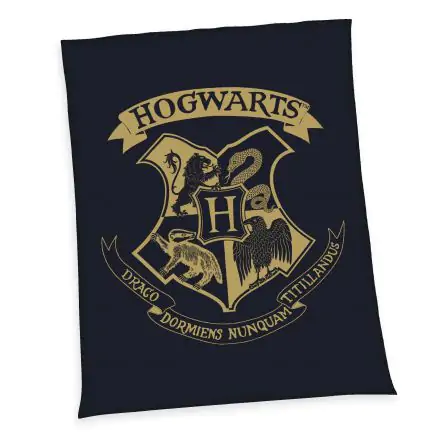 Harry Potter Fleecedecke Hogwarts 150 x 200 cm termékfotója