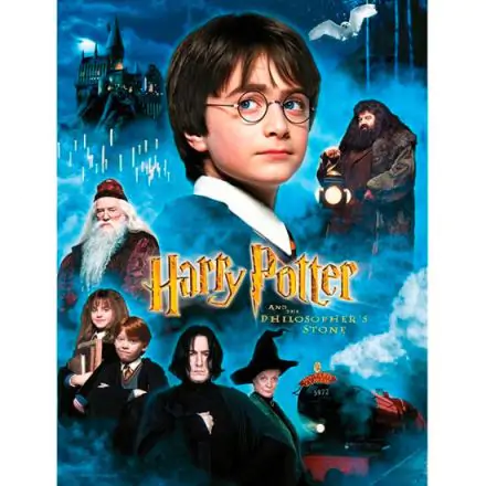 Harry Potter Philosophers Stone Glas Poster Produktfoto