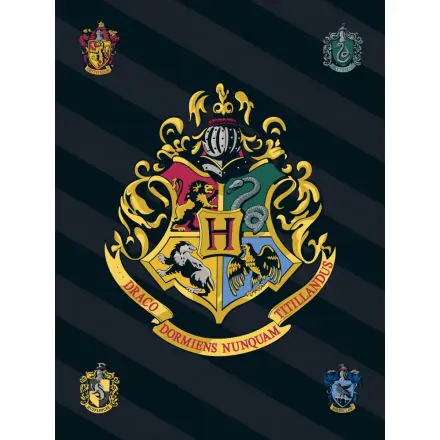 Harry Potter Fleece Decke 100*140 cm Produktfoto