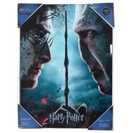 Harry Potter vs Voldemort Glas Poster Produktfoto
