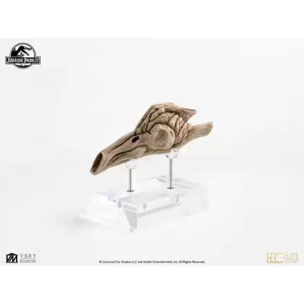 Jurassic Park III Prop Nachbildung 1/1 Velociraptor Resonanzkammer 18 cm Produktfoto