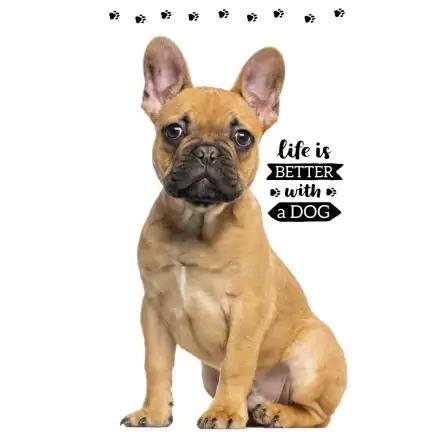 Hundethemenes Hand- und Gesichtshandtuch, Handtuch 30*50cm Produktfoto