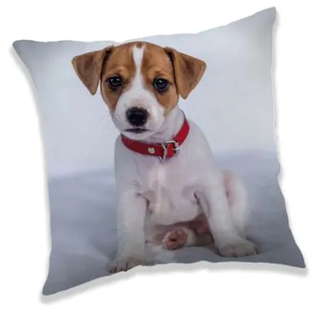 Hundethemen Kissen, dekoratives Kissen 40x40 cm Produktfoto