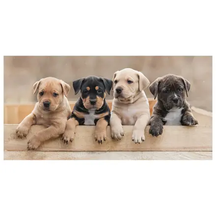 Dog Team Handtuch Produktfoto